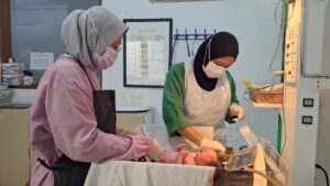 Penanganan pertama bayi baru lahir